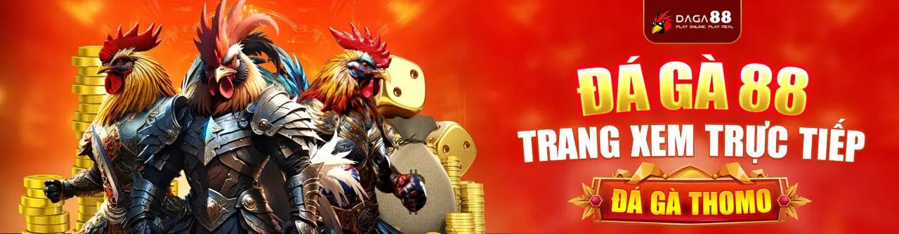 Trận đá gà trực tiếp kịch tính tại 18win3 Chính Thức